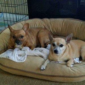 Meet your Posher, Lynn